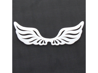 Andělská křídla 10cm plexi 30