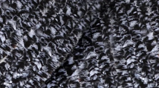 Velvet Tweed 91109