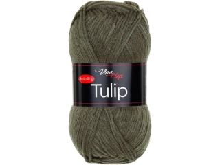 Tulip 41213