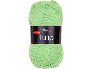 Tulip 41304