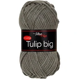 Tulip Big 41029