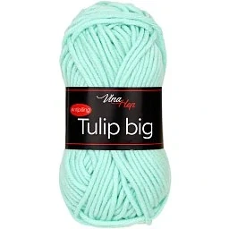 Tulip Big 41195