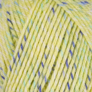 Halley 78020