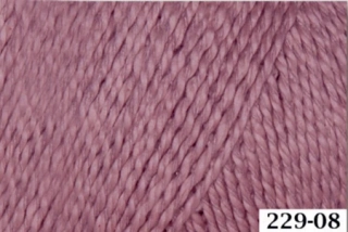 Papyrus 229-08