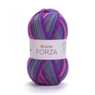 Forza 2501