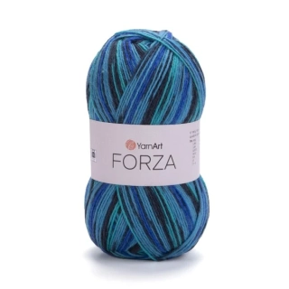 Forza 2507