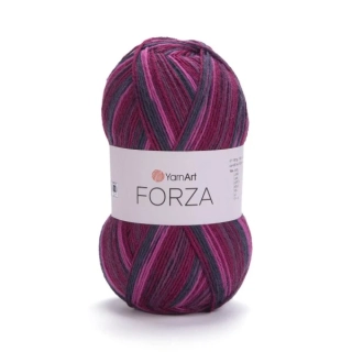 Forza 2508