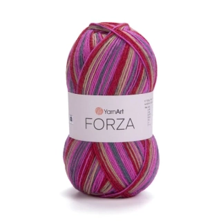 Forza 2510
