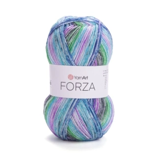 Forza 2607