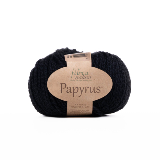 Papyrus 229-26